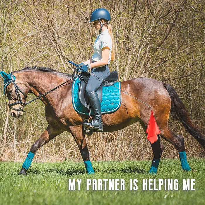 Wholesale Custom Horse Equipment Accessories Animal Horse Training Flag Customized Logo and Design Farming Gear