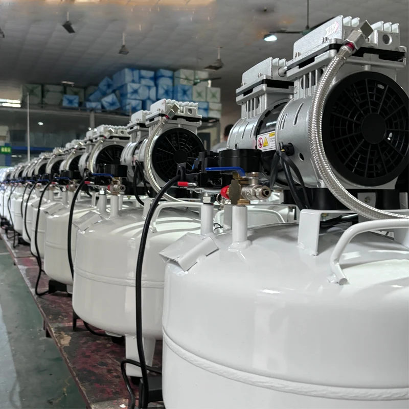 Portable Pigh Pressure Low Noise Oil Free Piston Type Aire Compressor for Dental Mini air Compressor Offer OEM ODM