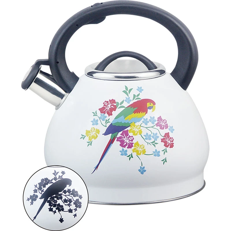 Stainless Steel Colored Kettles with Heating Classic Design Color-Changing Decal for Water Usage Magical Metal Magic