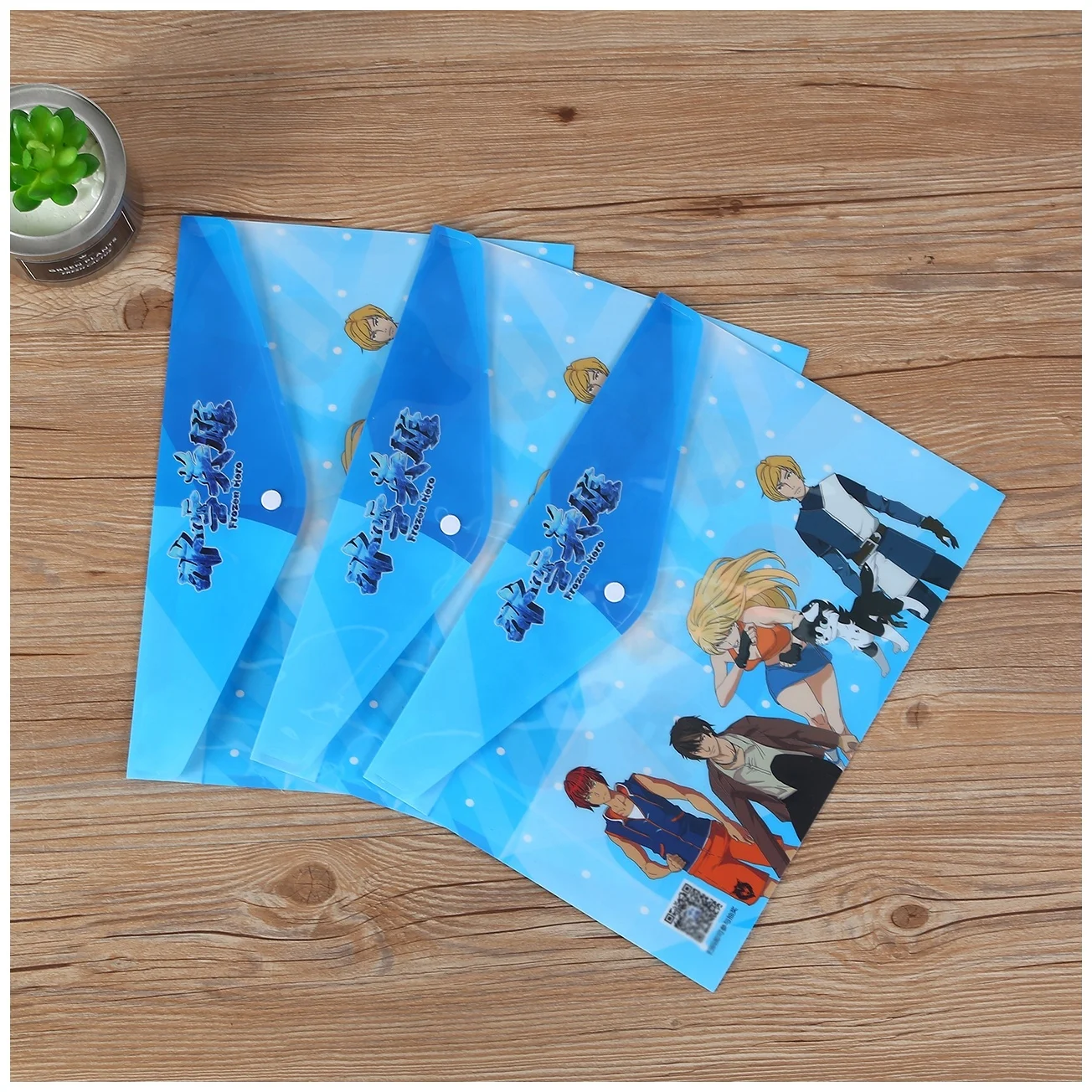 
Custom Plastic button file folder/plastic file folder with fastener 
