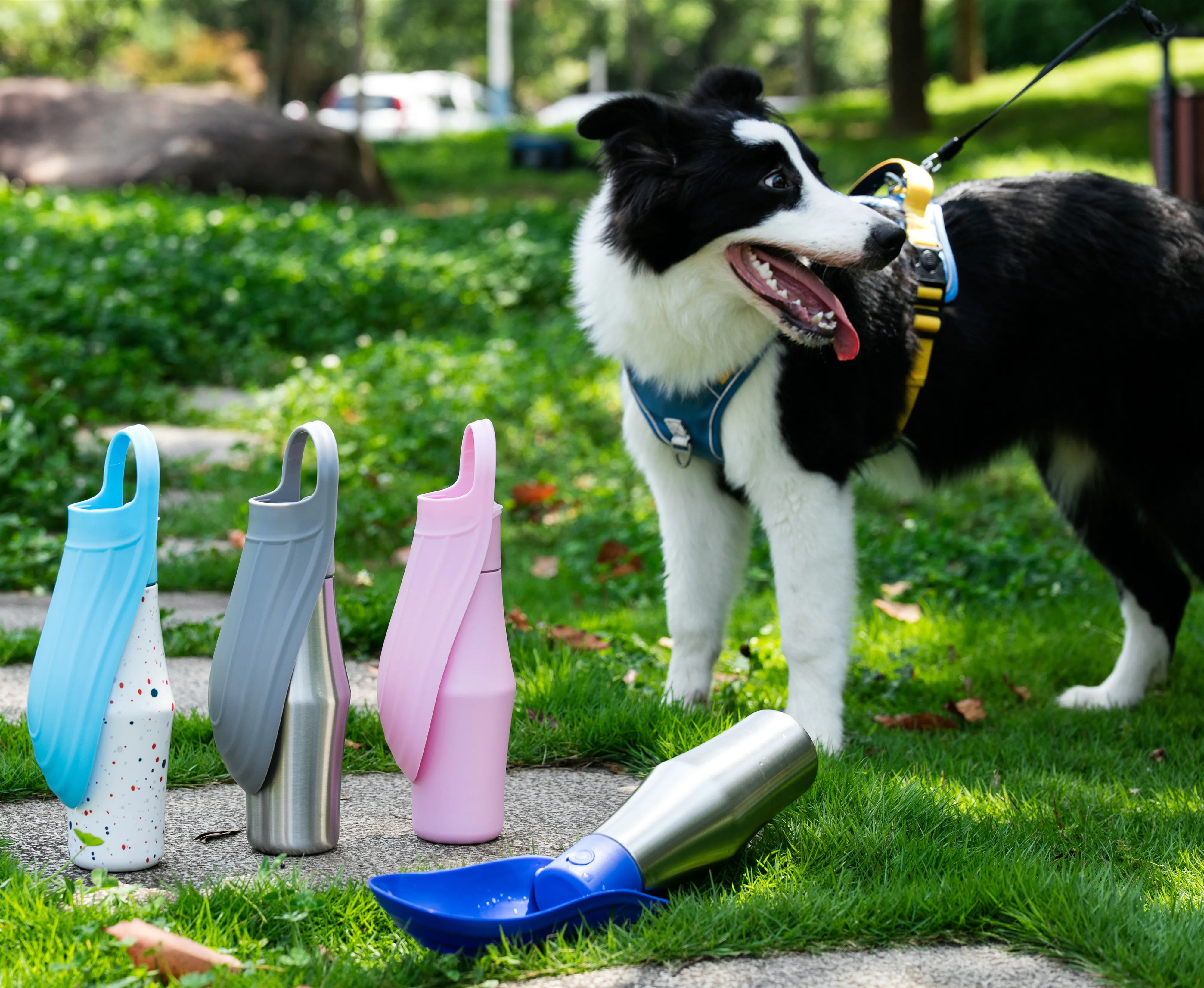 New Custom 304 Stainless Steel 26oz 770ml Pet Water Bottle For Dog Cat Drinking&Feeding Water Dispenser Bottles Outdoor Travel