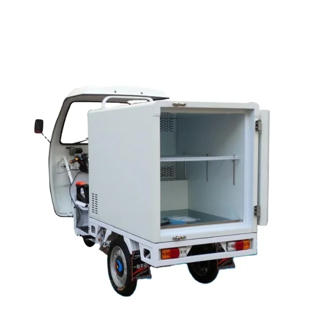 mini Freezer electric car/tricycle for cold-chain transportation