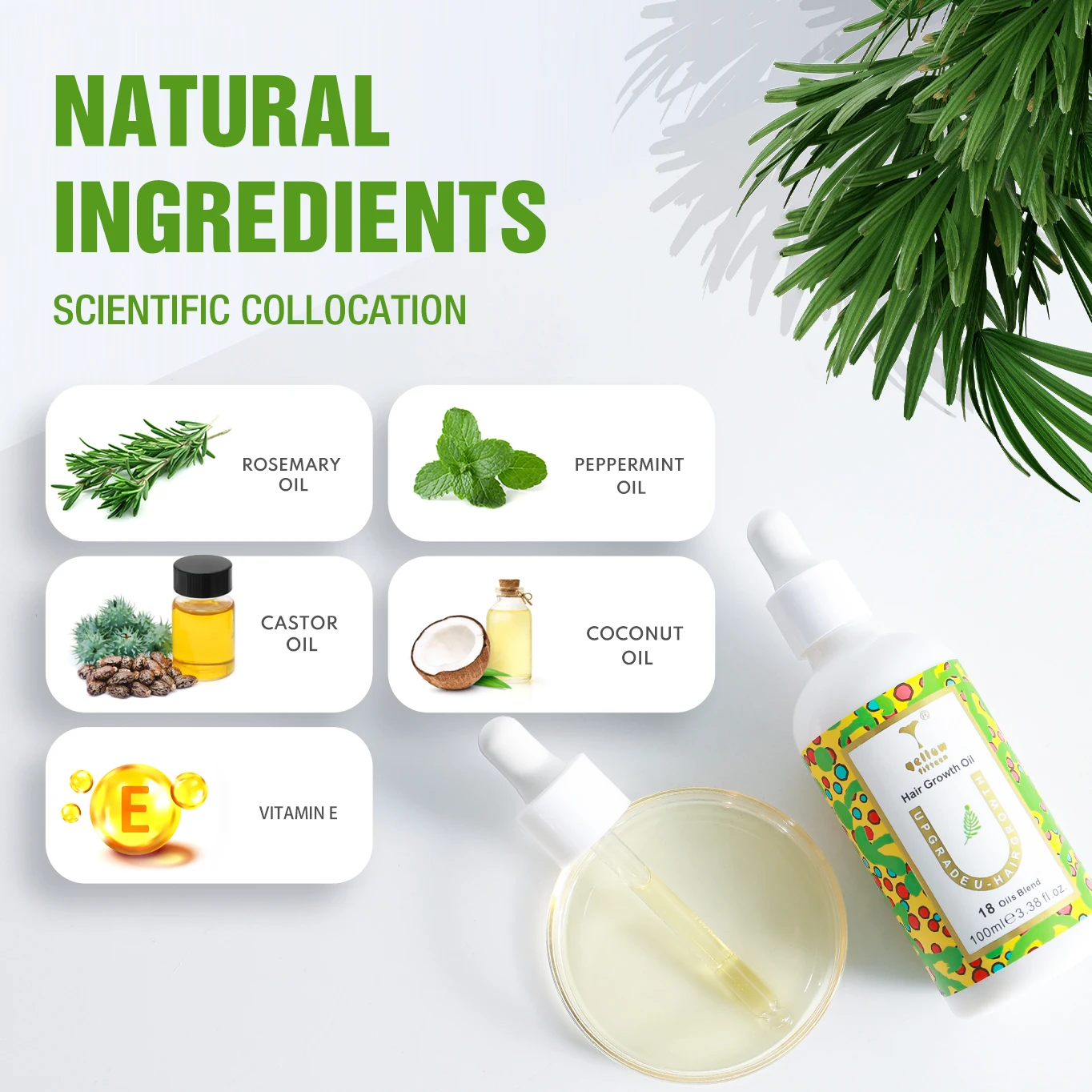 Rosemary Oil Hair Growth Set 7 days ginger Hair Growth Serum 40 ml Ginger Oil Chebe Jamaican Black Castor Oil For Hair Growth