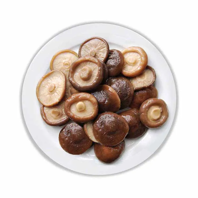 Canned packaged nutritious shiitake mushrooms cheap factory direct supply of high quality shiitake mushrooms