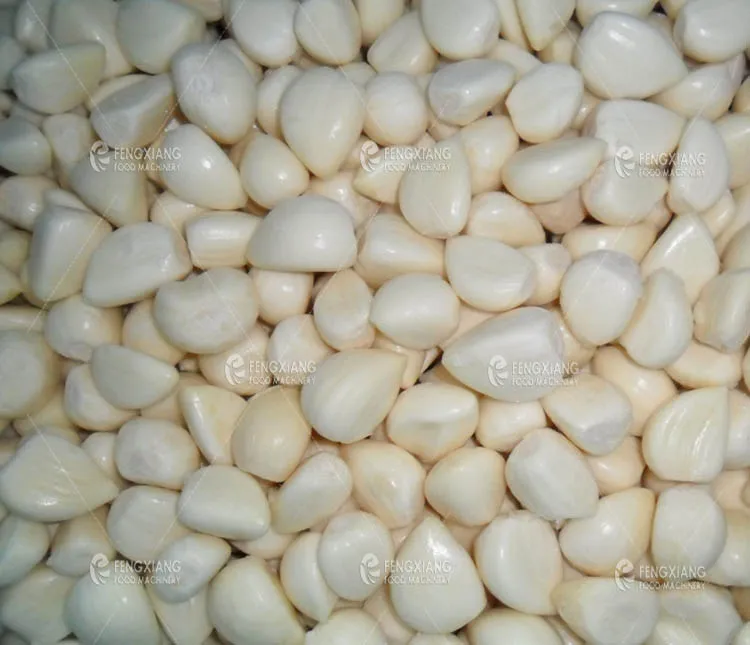 Onion and garlic peeling machine making machine peeling garlic in egypt  onion peeling and cutting