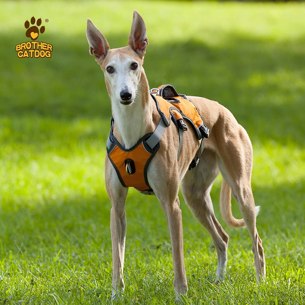 Fashion personalized design soft mesh padded luxury dog tactical adjustable reflective safety dog harness