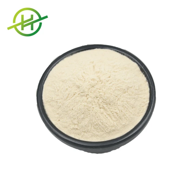 Wholesale Bulk Protease Enzyme Alkaline Protease for Detergent