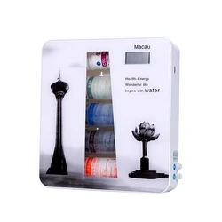 home drinking portable domestic 5stage plant water purifier uf uv water purifier