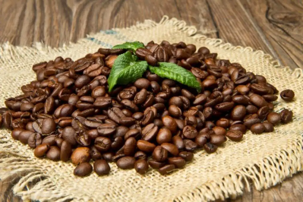 Wholesale Premium High Quality Raw Coffee Beans Directly from The Farm Grade 100% Arabic Green