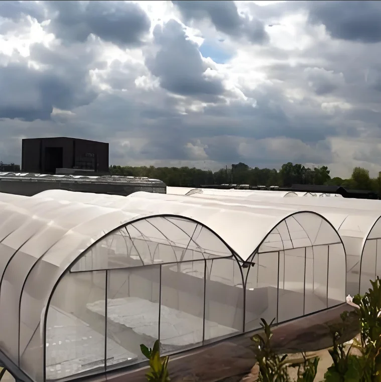 Алюминиевые теплицы сельскохозяйственное оборудование с теплицами тепловое одеяло для продажи