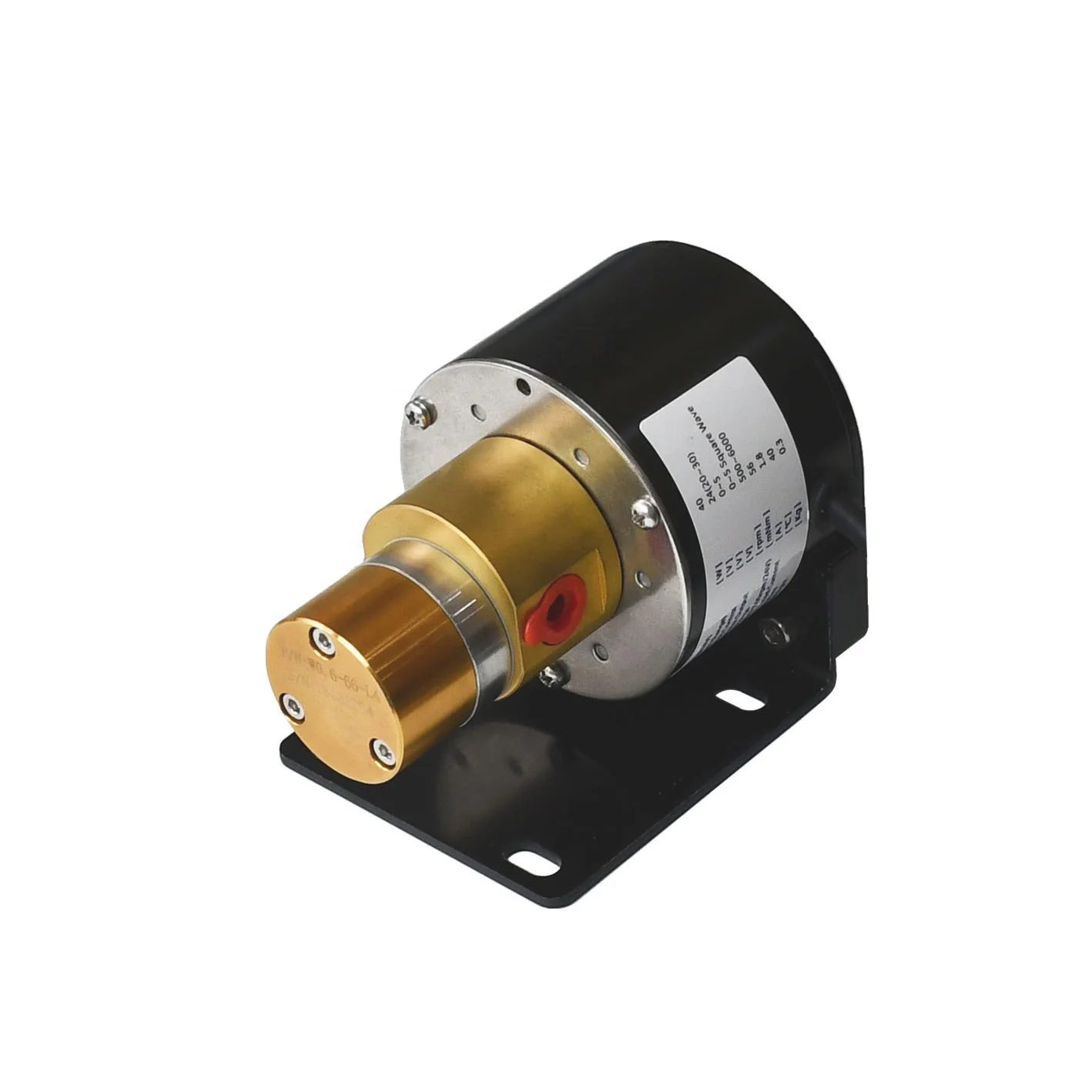 70 W DC build in brushless Micro Anticorrosion Abrasion resistance Gear Pump I0.60T70W
