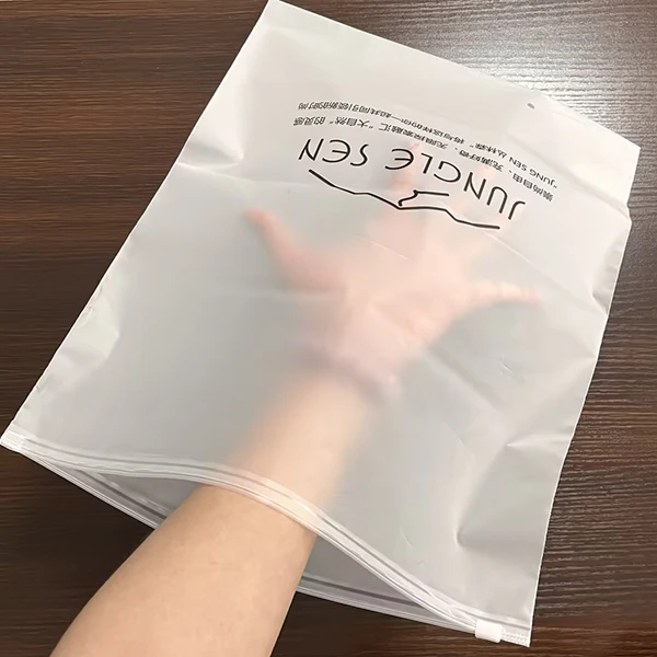 Free Sample Custom logo Frosted Plastic bag Clothes Zip Lock Plastic Packaging Bags For Clothing