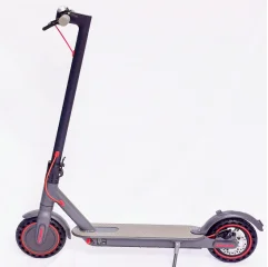hot sale electric motorcycle electric motorcycle scooter 350W Motor  2 Wheels 8.5 inch off road dual motor electric scooter
