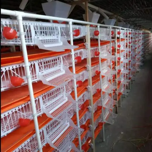 Hot Sale Layer Quail Cages / Commercial Quail Layer Cage