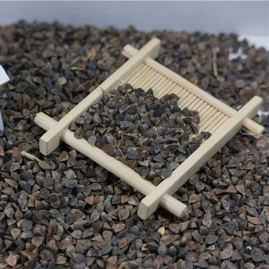 Высококачественная коричневая гречиха с ракушкой wensha, цена