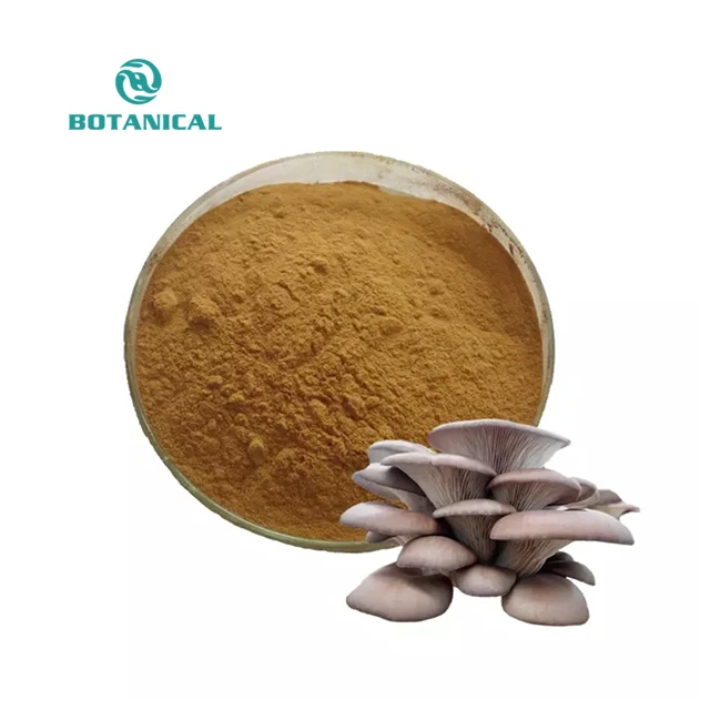 Mushroom Series Raw Material Extract Pleurotus Ostreatus Extract Dried Yellow Oyster Mushroom Powder