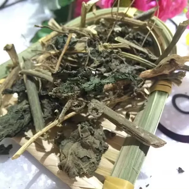 High Quality Wholesale Custom Cheap Nettle Leaf  Healthy Tea Drinks