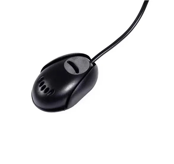 Mic 02.jpg