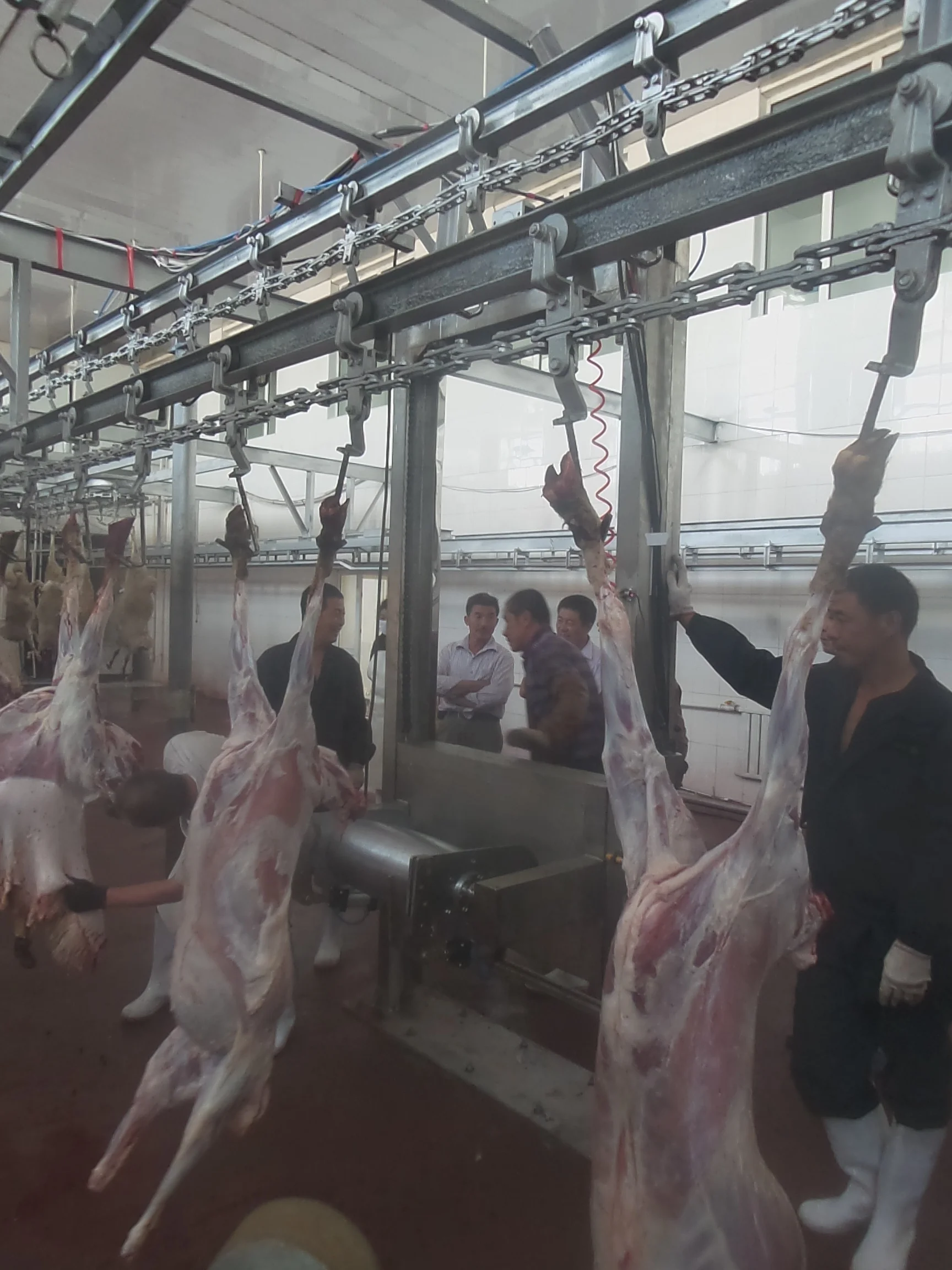 China Manufacturer Goats Slaughtering Equipment Sheep Skinning Machine For Lamb Abattoir Processing Plant