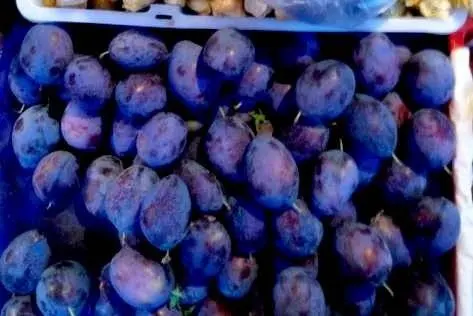 2 Pound (908 grams) Dried fruit black plums from Yunnan China