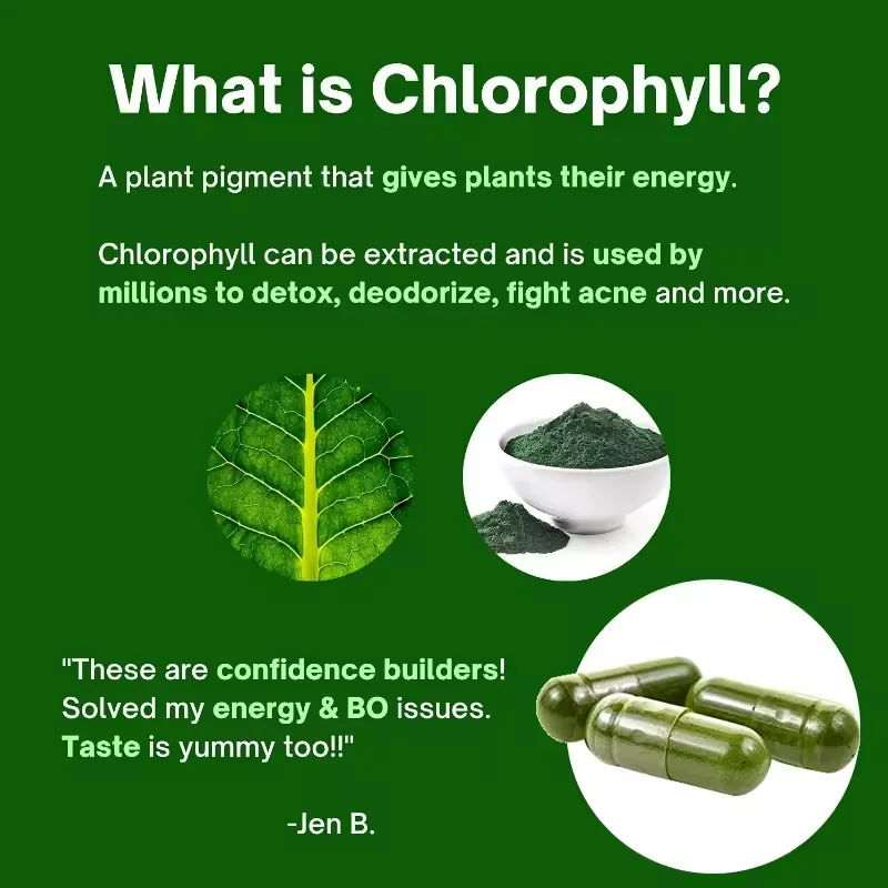 WELLBODY OEM/ODM Private Label Factory Supply Spirulina Chlorella Capsules 1000mg Heart Health Support Green Healthcare