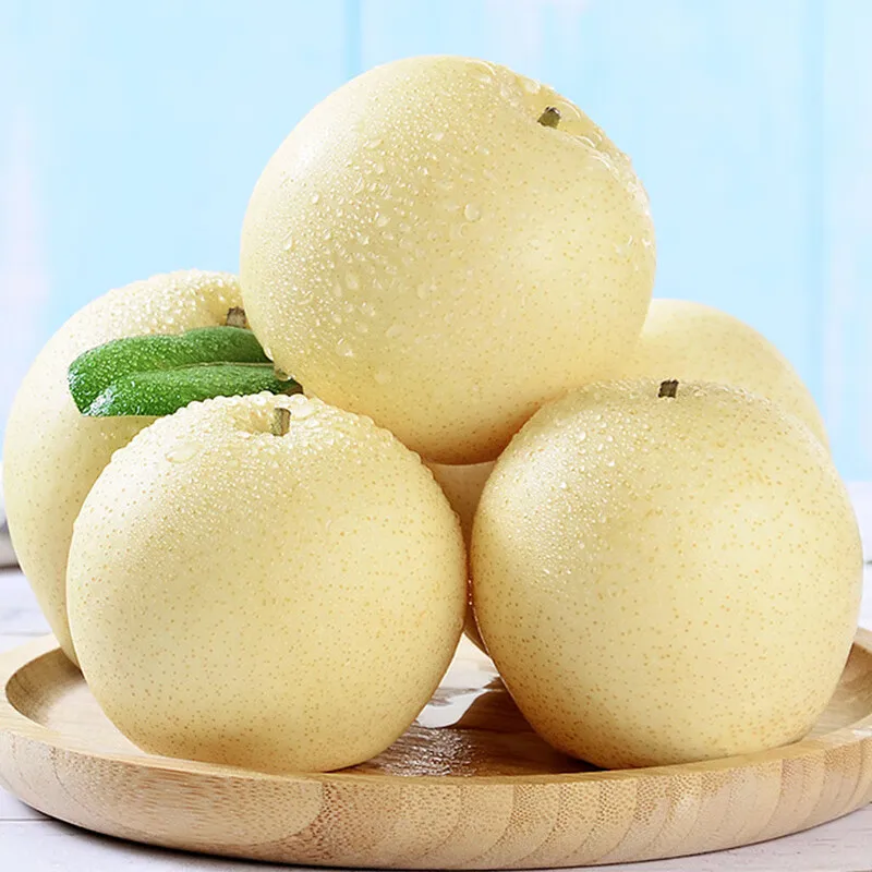 High quality of Chinese pear fruit crown pear new crop fresh pears price for Russia and Ecuador export from China
