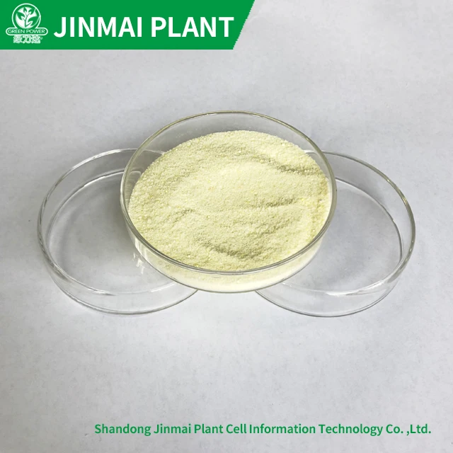 100% Soluble NPK Compound Fertilizer NPK 20-20-20+TE For All Crops Vegetables