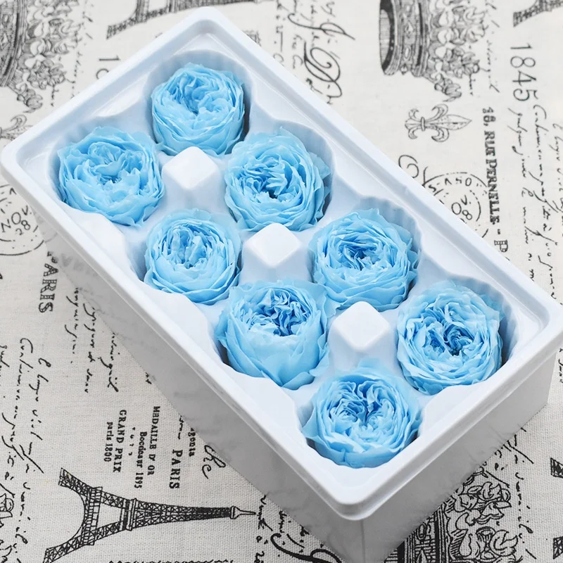 High Quality Eternal Rose Preserved Artificial Flowers Rose Preserved Flowers Preserved Austin Rose