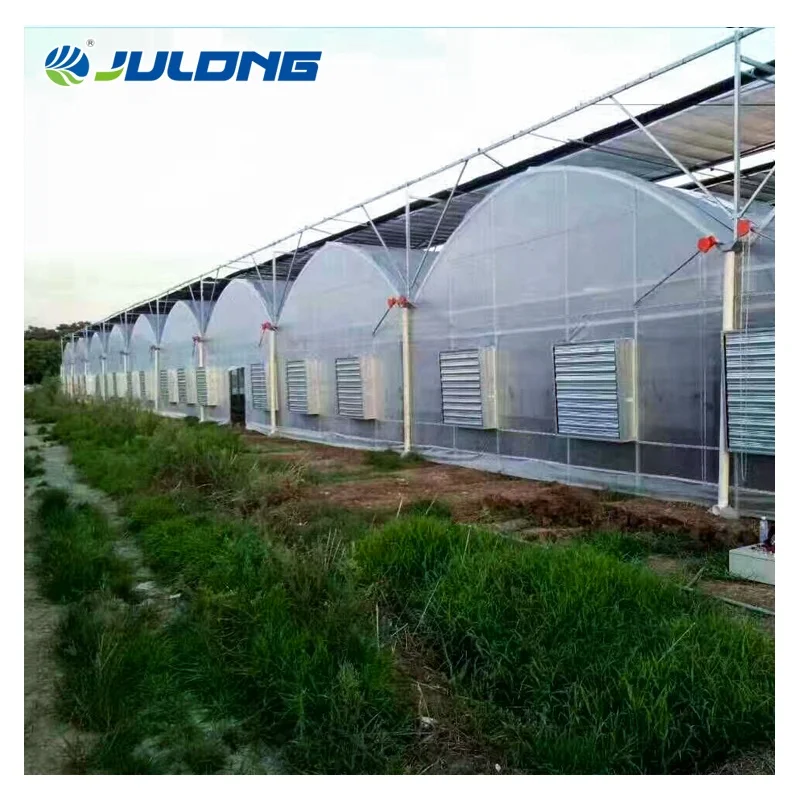 Cheap Hydroponic Multi Span Greenhouse Smart Farm Tomato Strawberry Greenhouse Supplier