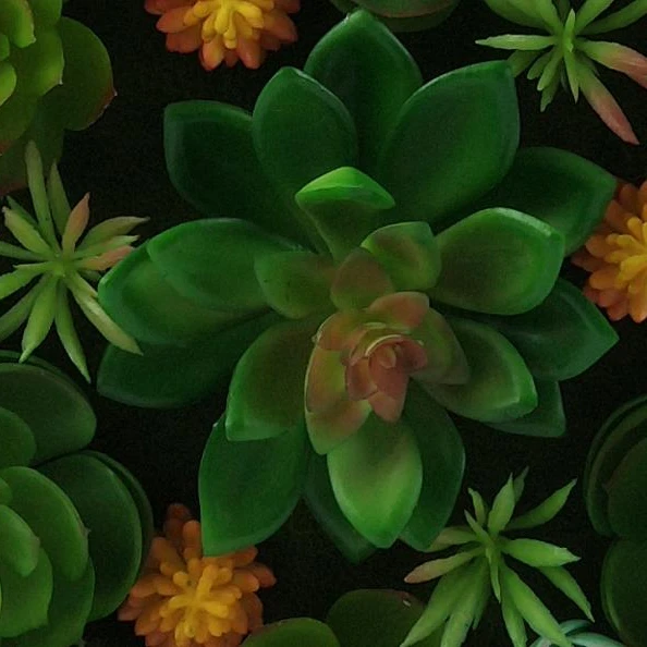 European-style rectangular wall-mounted 3d home decoration photo frame artificial Succulents plant greenery