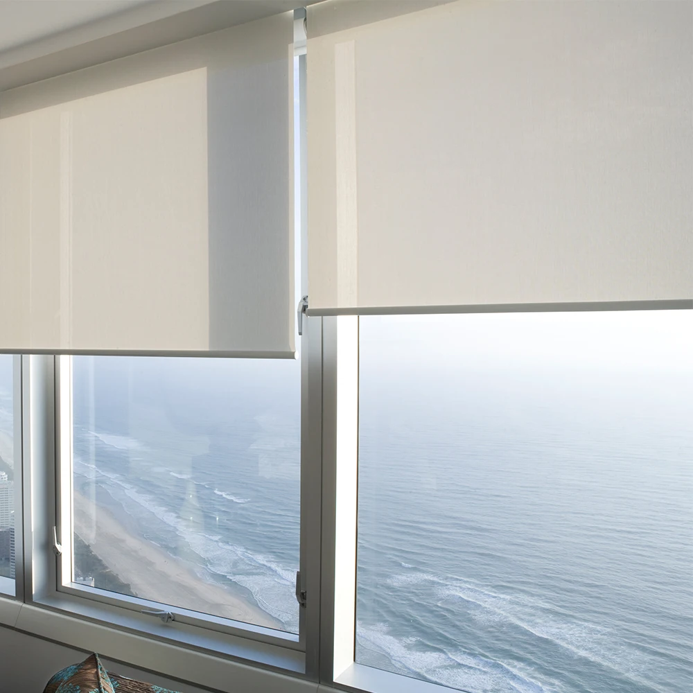 Customized Day And Night Dual Motorized Roller Window Shades Cordless Sunscreen Double Blackout Roller Blinds For Window