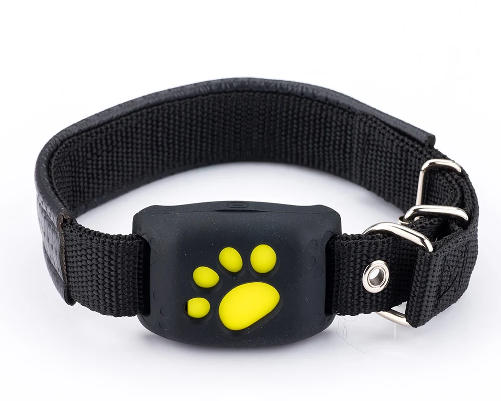 Pet Tracker GPS Tracking Collar for Dogs and Cats & Pet Activity Monitor Device