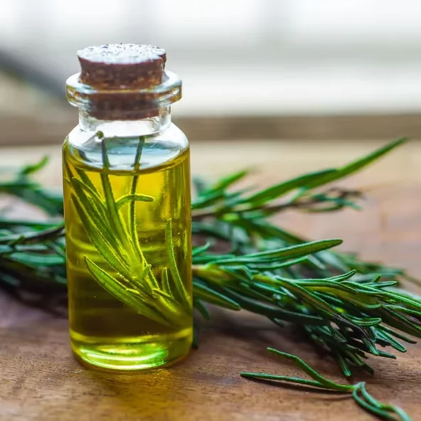 Wholesale Beauty Cosmetics Perfume Diffuser Essential Oil Natural Organic Rosemary Oil for Hair Shampoo Skin Care