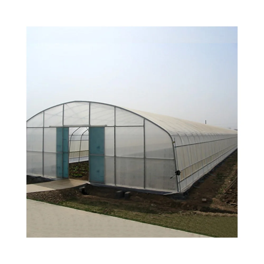 
Vegetable greenhouse elliptical tube vegetable farming tomato farming 