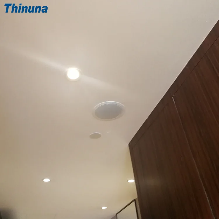 CS-205A Cheap PA 6.5 inch Full Range Invisible Speaker Inside Walls Low Profile Surface Install Unseen In Ceiling Loudspeaker