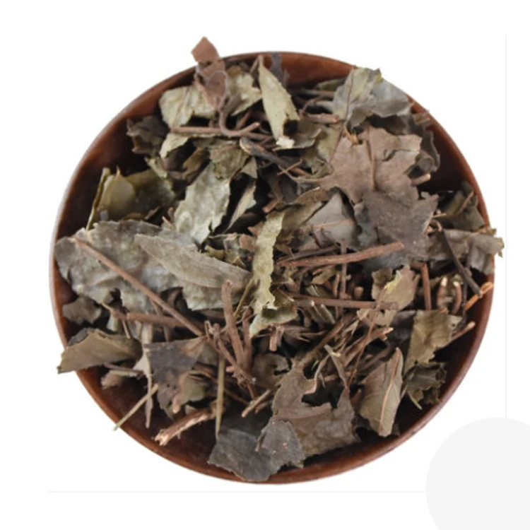 
100% Natural Herba Ardisiae Japonicae 