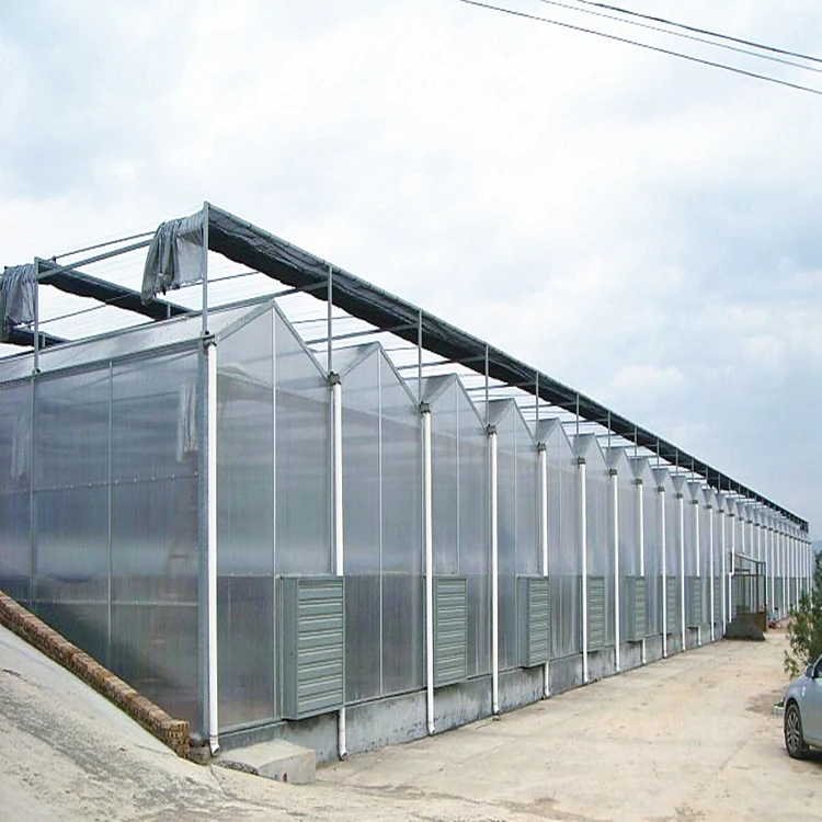 Large turnkey greenhouse multi-span polycarbonate agricultural greenhouses