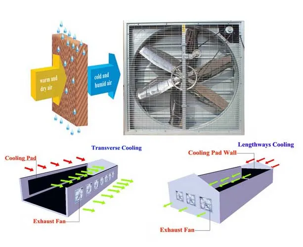 
50 inch greenhouse exhaust fan cooling exhaust fan for poultry farm 
