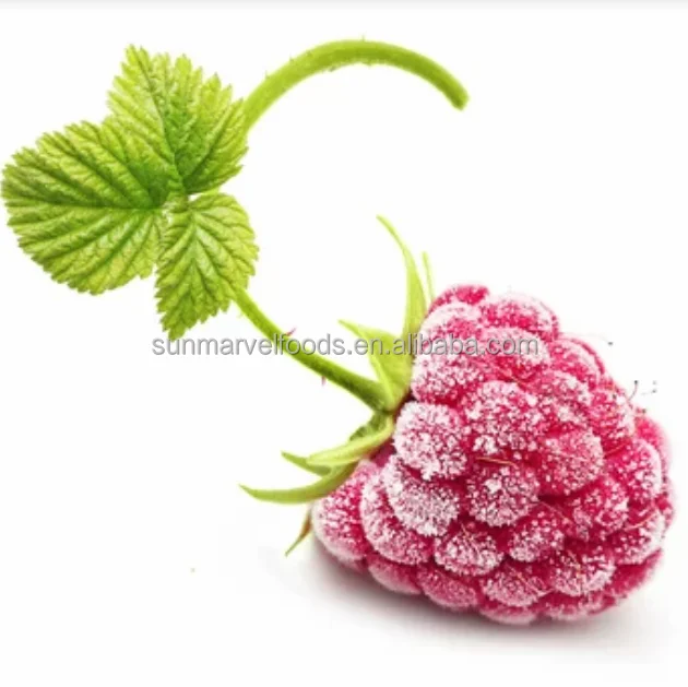 Frozen Fruits Individually Quick Frozen Crops IQF Raspberry Good price High Quality