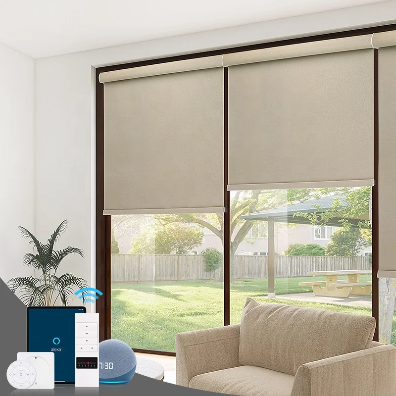 Factory Supply Custom Size Indoor Blackout Day And Night Manual Window Dual Roller Blinds Shades Mechanism