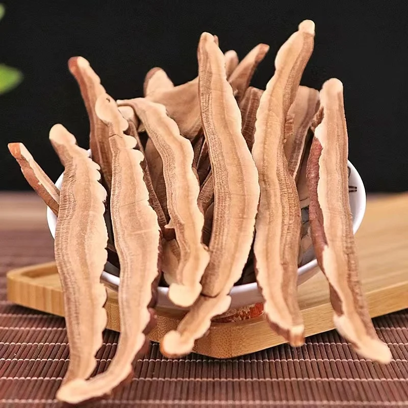 Wholesale top quality products reishi mushroom slices