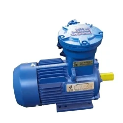 Yb3 Three Phase Flameproof Explosion Proof Electric Motor AC Induction Motors Hazardous Area Motors 0.18kw-375kw