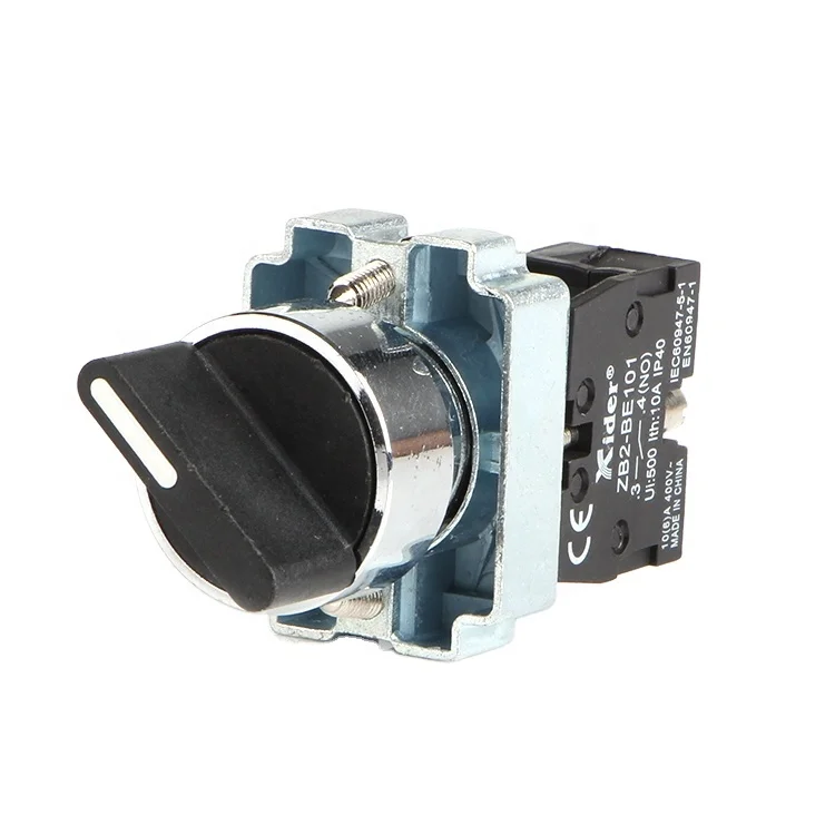 LAY5-BD21 two position switch