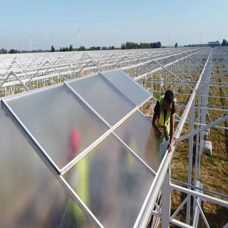 Multi-span Greenhouses Green Houses Agriculture Commercial Greenhouse Frame