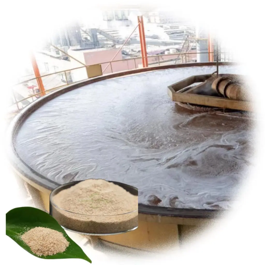 Low pollution anaerobic bacteria for wastewater treatment plant