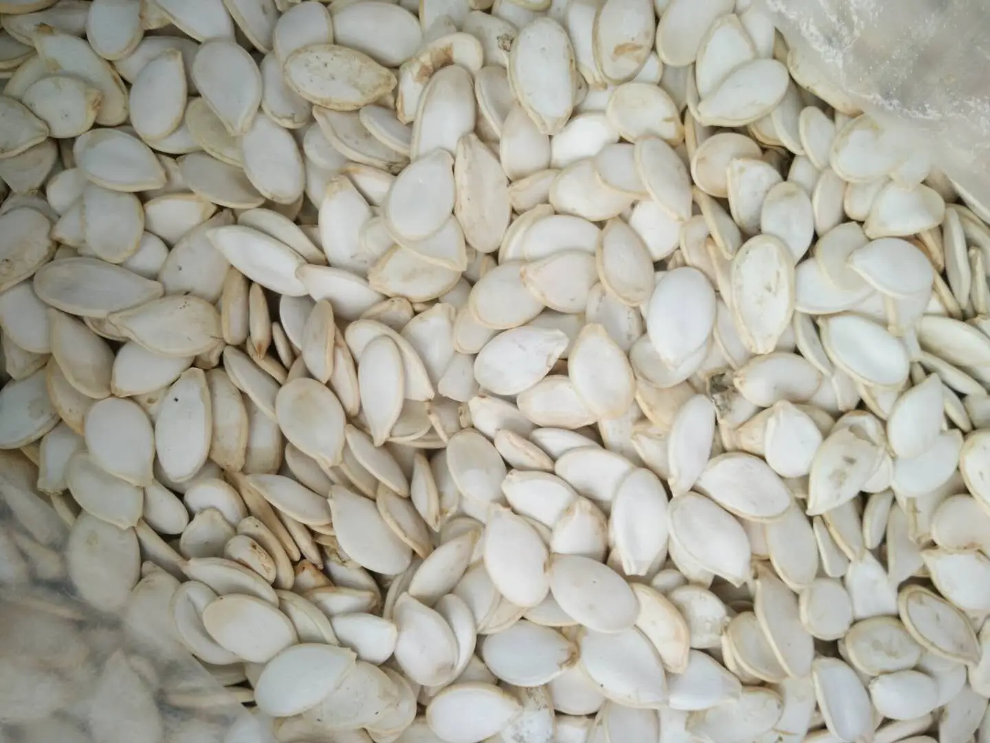 Китайские соленые и жареные семена белой тыквы