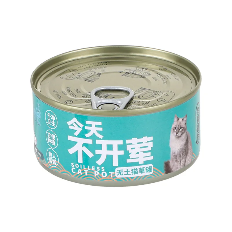 Lazy cat grass tin soilless cultivation of wheat puffball cat grass canned set wholesale