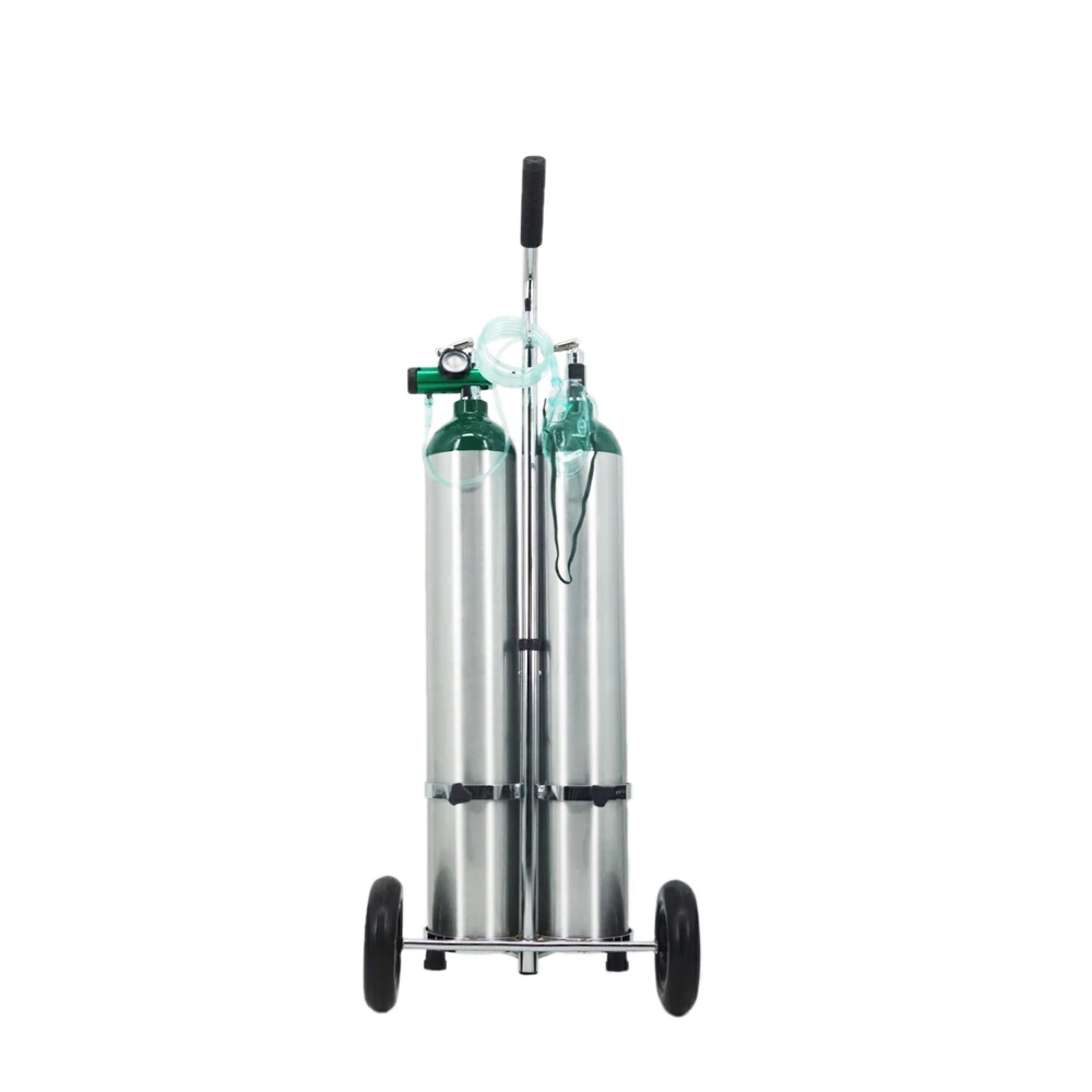 Transportable oxygen kit E Size medical oxygen tank on cart with regulator CGA 870 for patient at home Oxygen therapy equipment