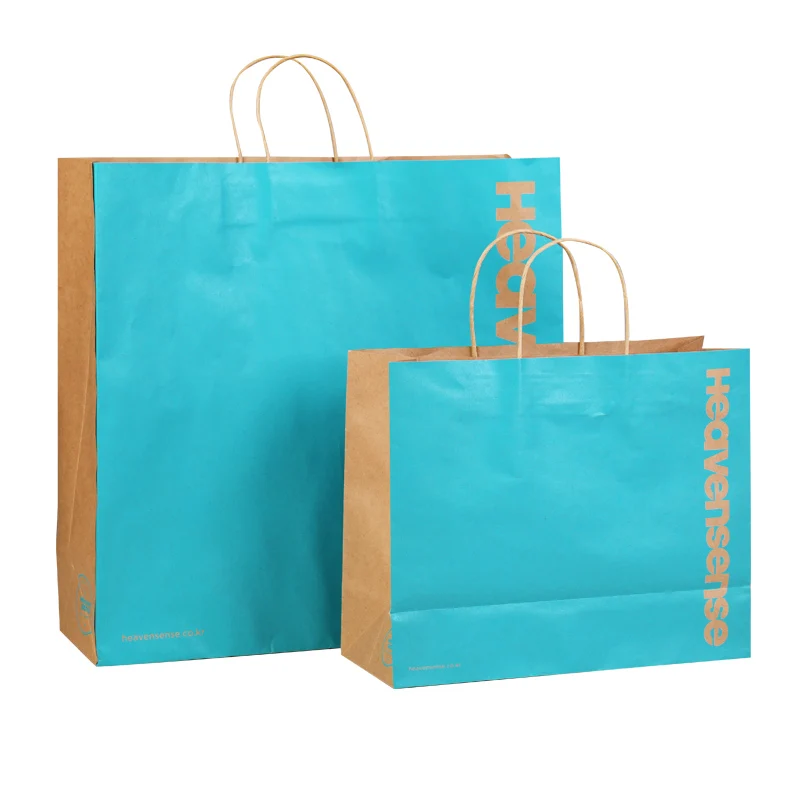 China Manufacturer Printed Gift Custom Shopping Paper Bag With Your Own Logo