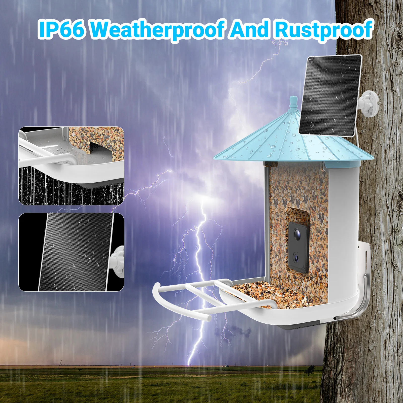 AI Recognize Bird Species Outdoor Wildlife Hummingbird Wifi Camera Capture Pictures Photos Video Smart Bird Feeder for Garden